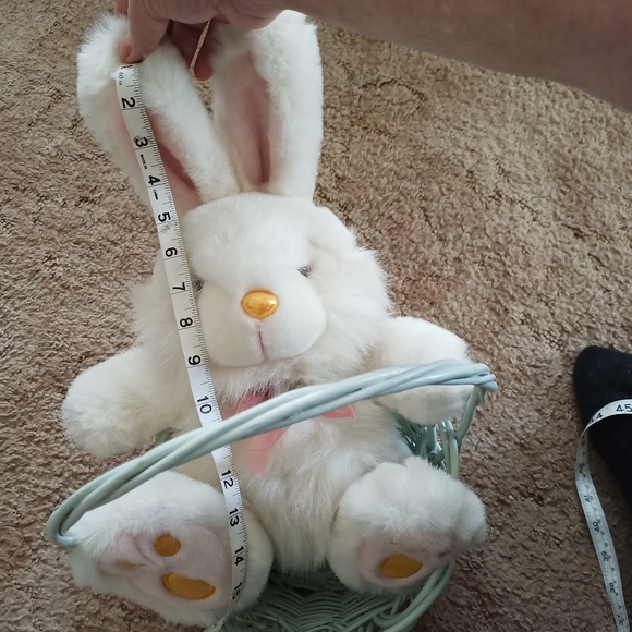 LG Easter Basket & Bunny !! - Picture 7 of 16